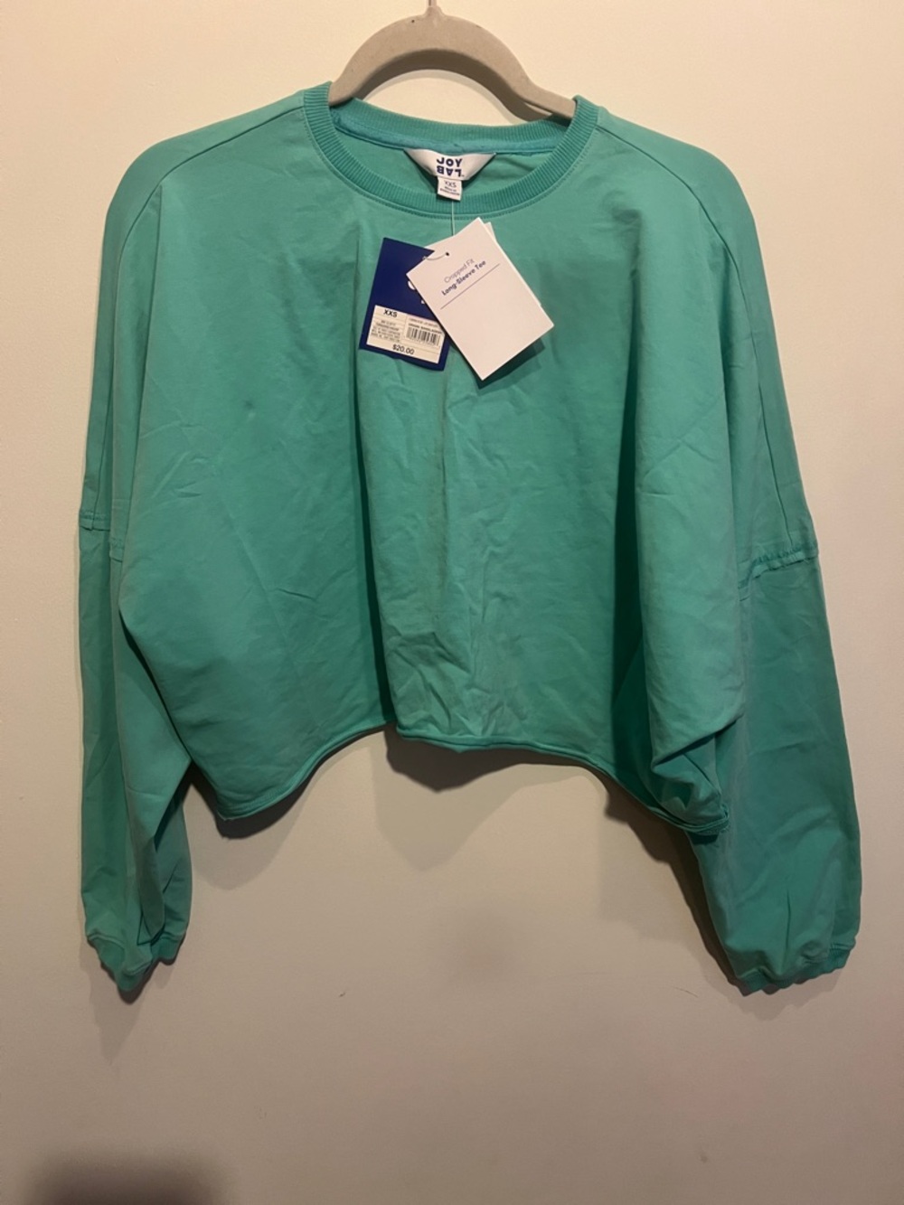 JoyLab Cropped Sweatshirt in Seafoam
